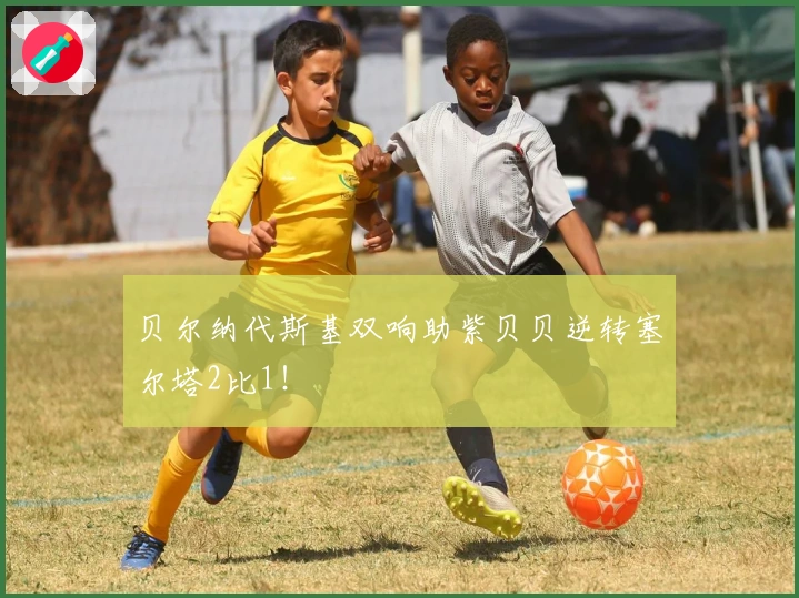 贝尔纳代斯基双响助紫贝贝逆转塞尔塔2比1！